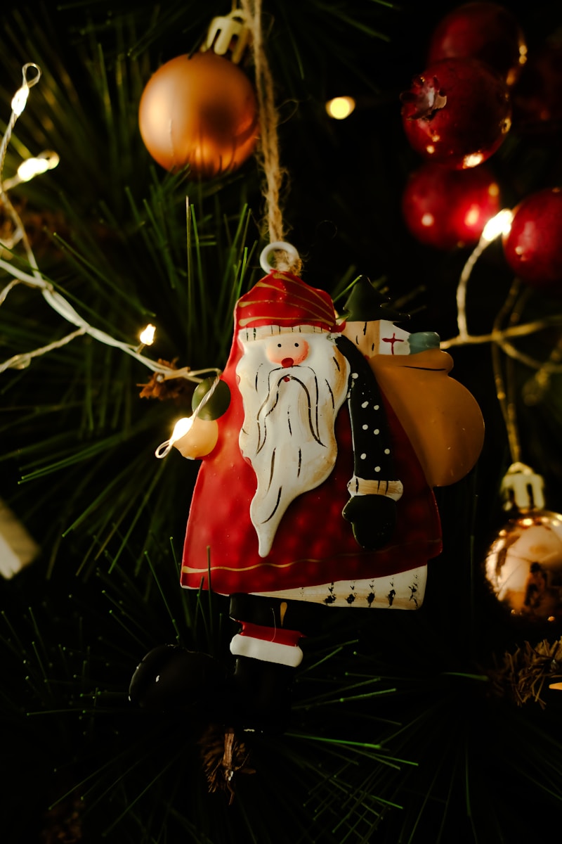 A christmas ornament hanging from a christmas tree